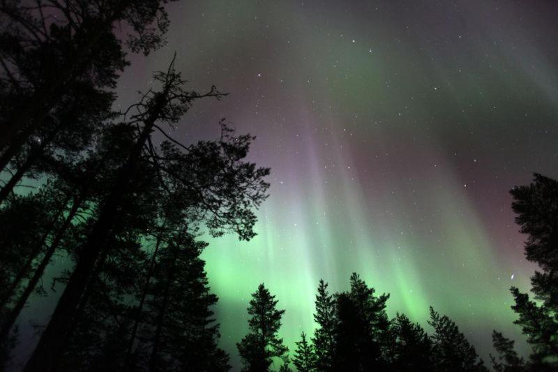 Apartmán Santa'S Studio Valta Rovaniemi Exteriér fotografie